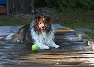 Bristol after a swim